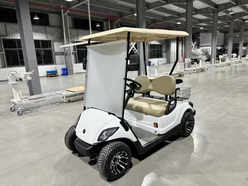 Electric Golf cart 2.5kw